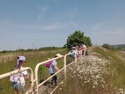 b_1024_768_0_00_images_2022_2023_1-3_AkademiaMalych_rajd_352219524_573104898303472_2488914463451369532_n